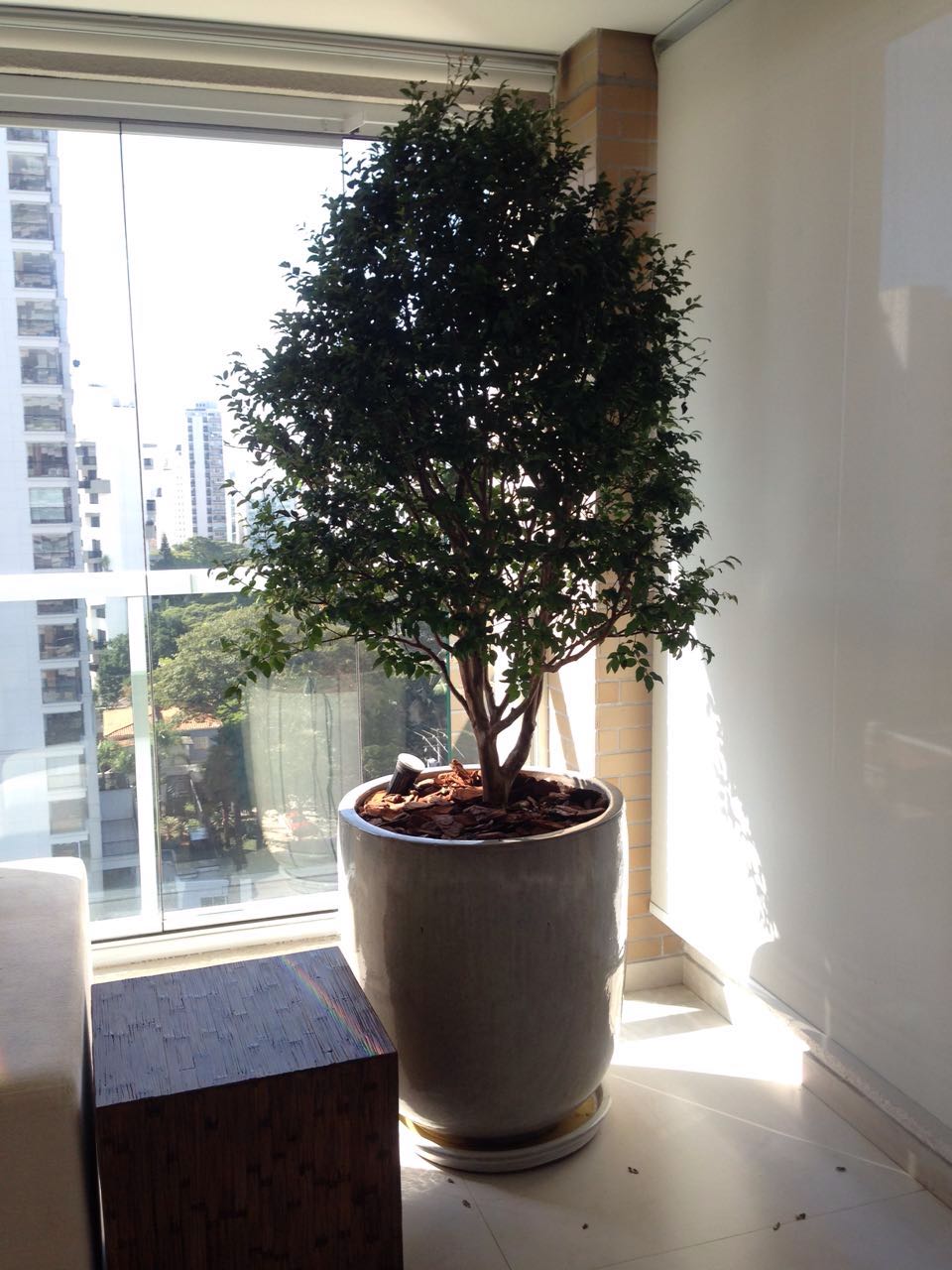 33aad8dcdd52710b6b92ef7eb6573a35