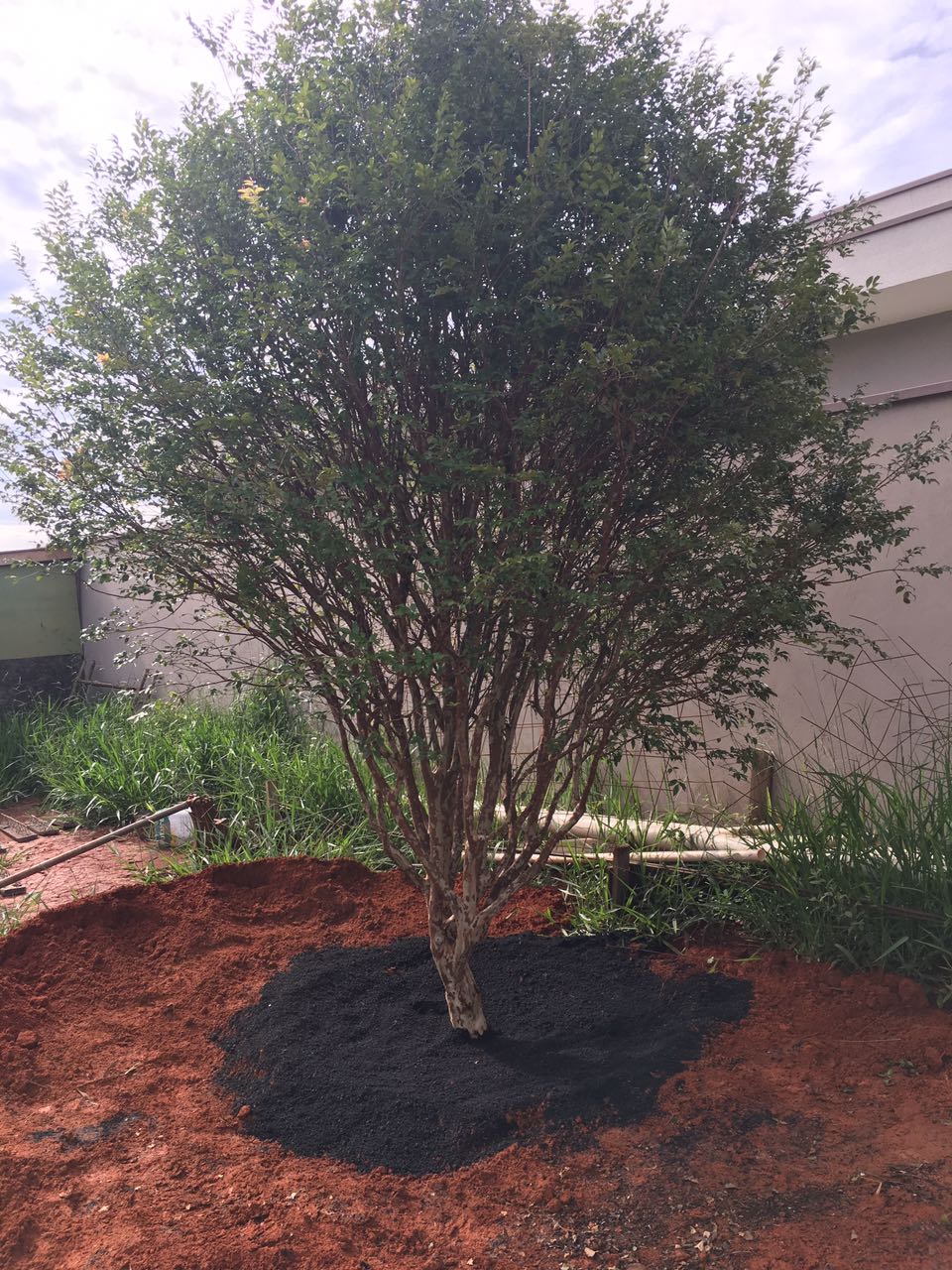 3b154b78089b128b3072846d763ea361